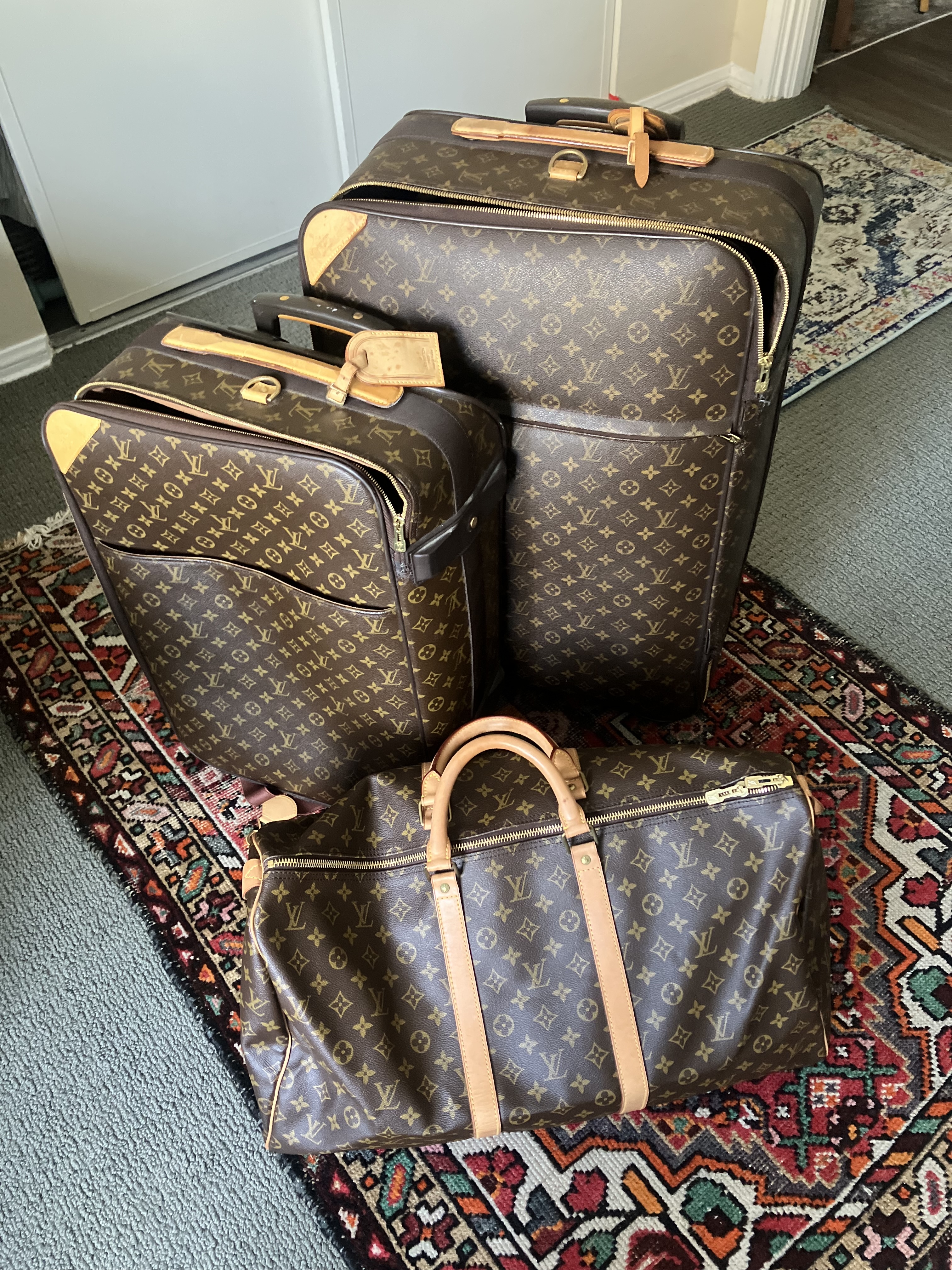 What is in the bag? — image 1